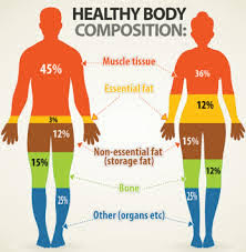 The Facts behind Fat